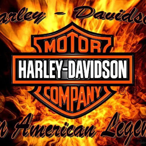 Rick Lindsey Photo 19