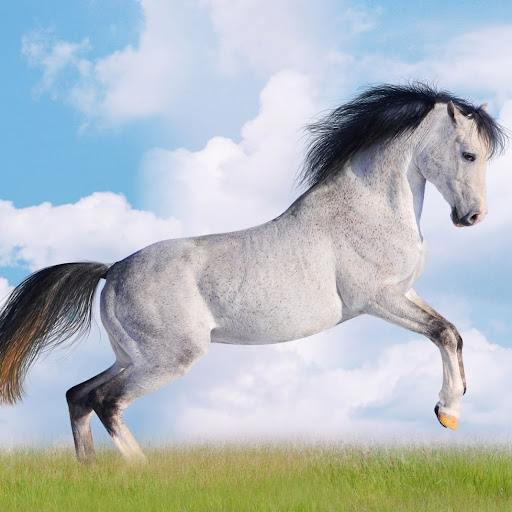 Liyuan Zhang Photo 12