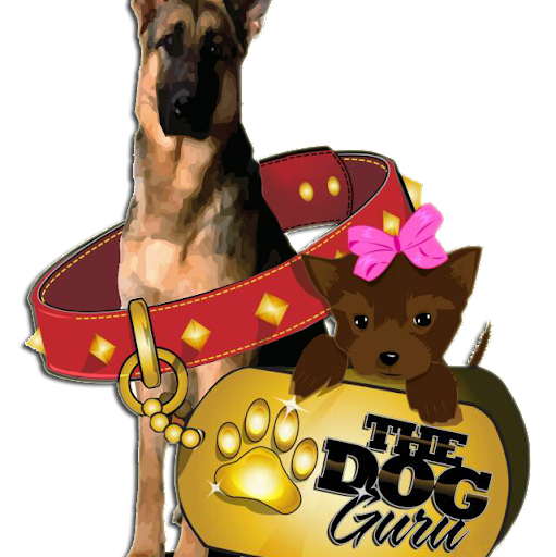 Michelle Kumar Photo 21