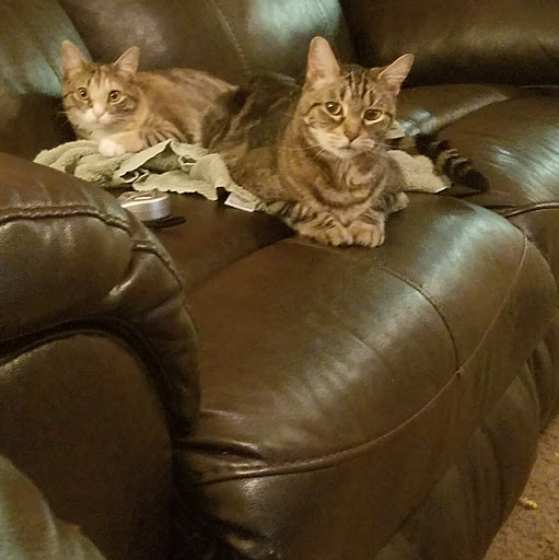 Jessica Ervin Photo 16