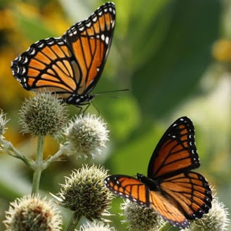 Kathleen Duran Photo 7