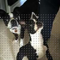 Ruby Graham Photo 32