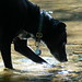 Jimmie Hunt Photo 3