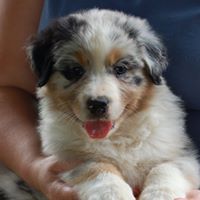 Sharon Mcnutt Photo 14