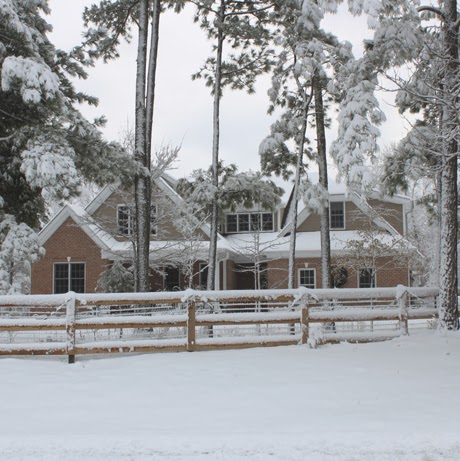 Linda Draper Photo 4
