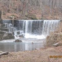 Carrie Wiley Photo 17