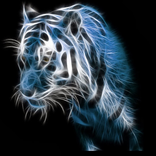 Daniel Lind Photo 16 Daniel Lind Photo 16