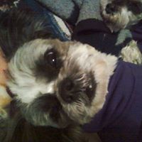 Melissa Runnels Photo 10