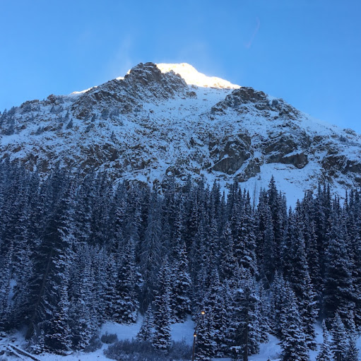 David Heasley Photo 3