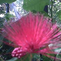 Jill Rosenthal Photo 17