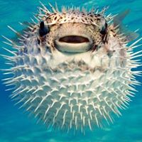 Michael Feng Photo 26