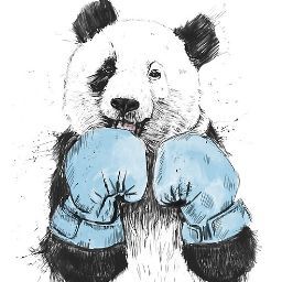 Arturo Torres Photo 44