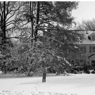 Timothy Shepherd Photo 17