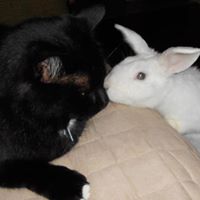 Katherine Newman Photo 18