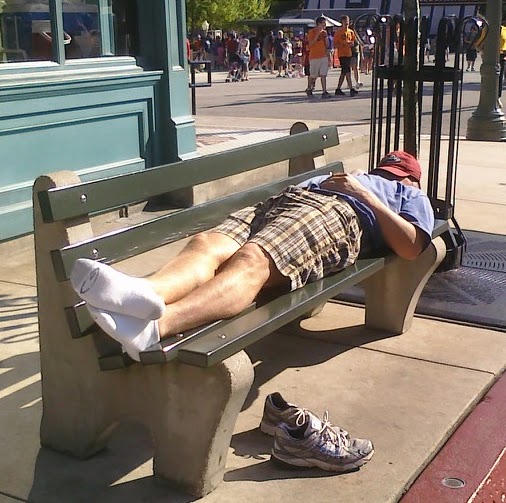 Steve Reese Photo 10