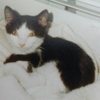 Robyn Perez Photo 11