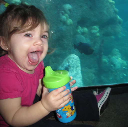 Jack Mccarthy Photo 32