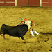 Manuel Cordero Photo 33