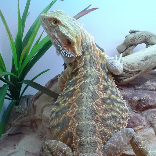 Sarah Dubose Photo 7