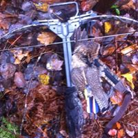 Eric Gauthier Photo 16