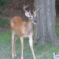Jean Moyer Photo 12