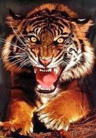 Jeff Hunter Photo 15