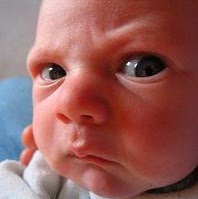 David Fuller Photo 41 David Fuller Photo 41