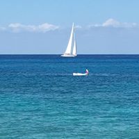 Julie Thrash Photo 24