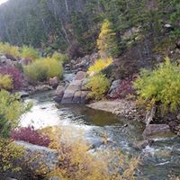 Vickey Wagner Photo 3