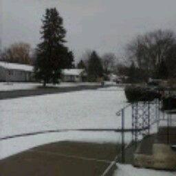 Mandy Sexton Photo 4