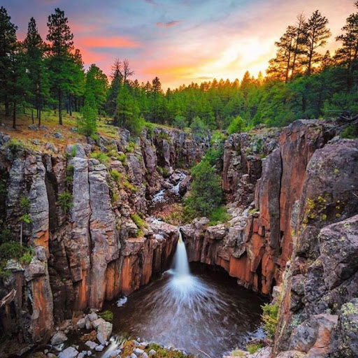 Crystal Carter Photo 24