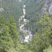 Dottie Short Photo 2