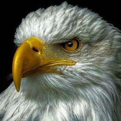 Tommy Thompson Photo 10