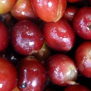 Cecelia Smith Photo 7