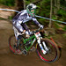 Anne Herman Photo 30