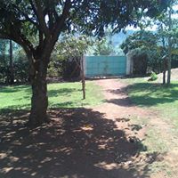 Peter Morgan Photo 36