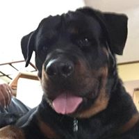 Brenda Delaney Photo 40