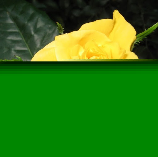 Kathleen Tran Photo 14