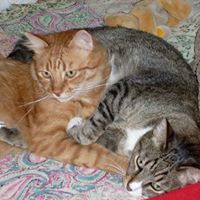 Elizabeth Rust Photo 19