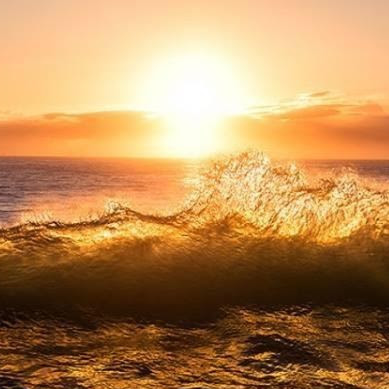 Bruce Cornelius Photo 8