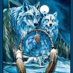 Suzanne Belanger Photo 6