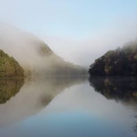 Carole Armstrong Photo 20