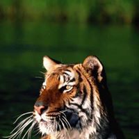 Francisco Franco Photo 43