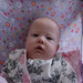 Judith Stark Photo 11