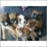 Laurie Greco Photo 10