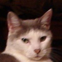 Claudia Rogers Photo 38