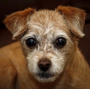 Mark Monson Photo 19