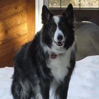 Margaret Madden Photo 14