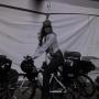 Nancy Zimmerman Photo 15