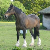 Carole Matthews Photo 27 Carole Matthews Photo 27